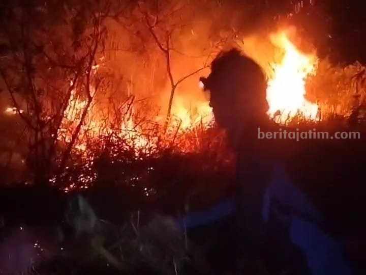 Gunung Penanggungan Mojokerto Terbakar Hebat Gunung Penanggungan
