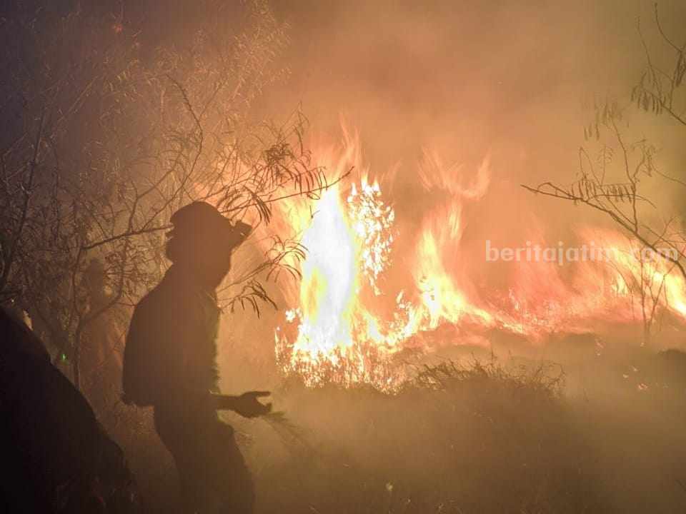 Kebakaran lereng Gunung Penanggungan di Kecamatan Trawas, Kabupaten Mojokerto. [Foto : ist]