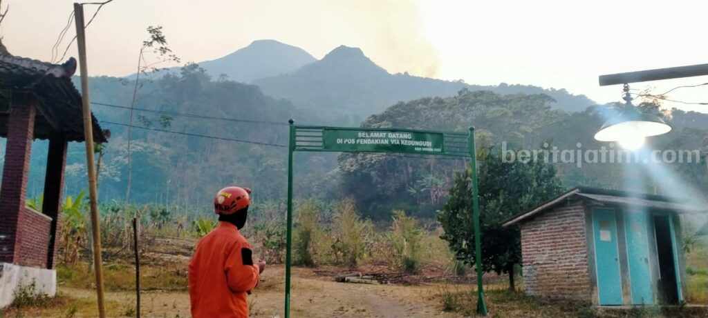 Petugas memantau kebakaran hutan di Gunung Penanggungan, Kecamatan Trawas, Kabupaten Mojokerto. [Foto : ist]
