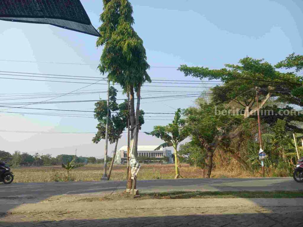 Video Tawuran Pelajar di Bojonegoro Menyebar di Media Sosial