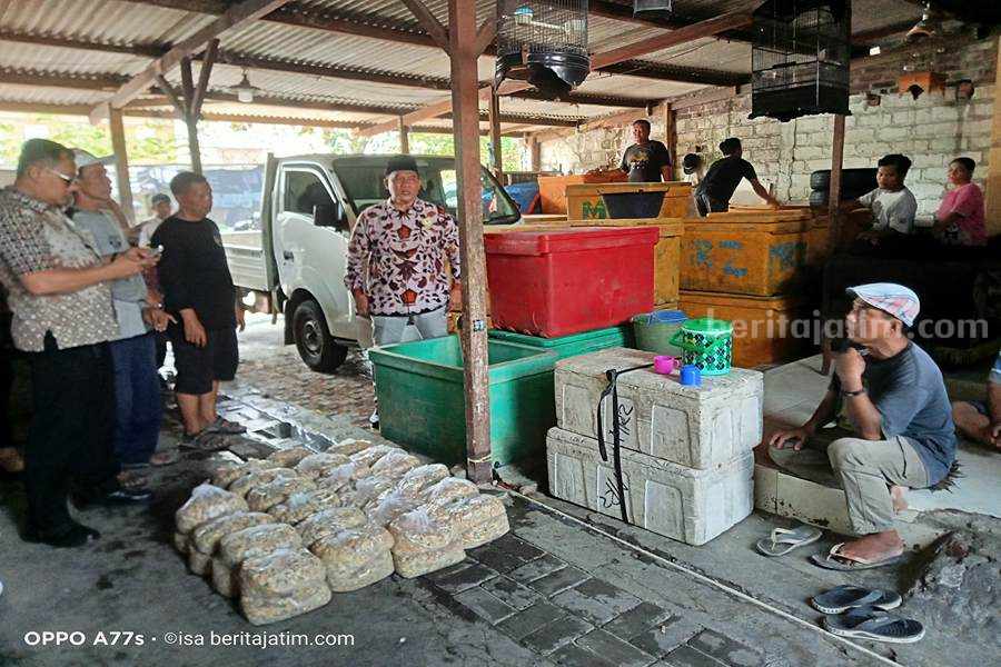 BHS Sayangkan Aturan Pembatasan BBM Solar Bagi Nelayan dan Sistem Belinya Bambang Haryo Soekartono (BHS) melihat kerang hasil tangkapan nelayan