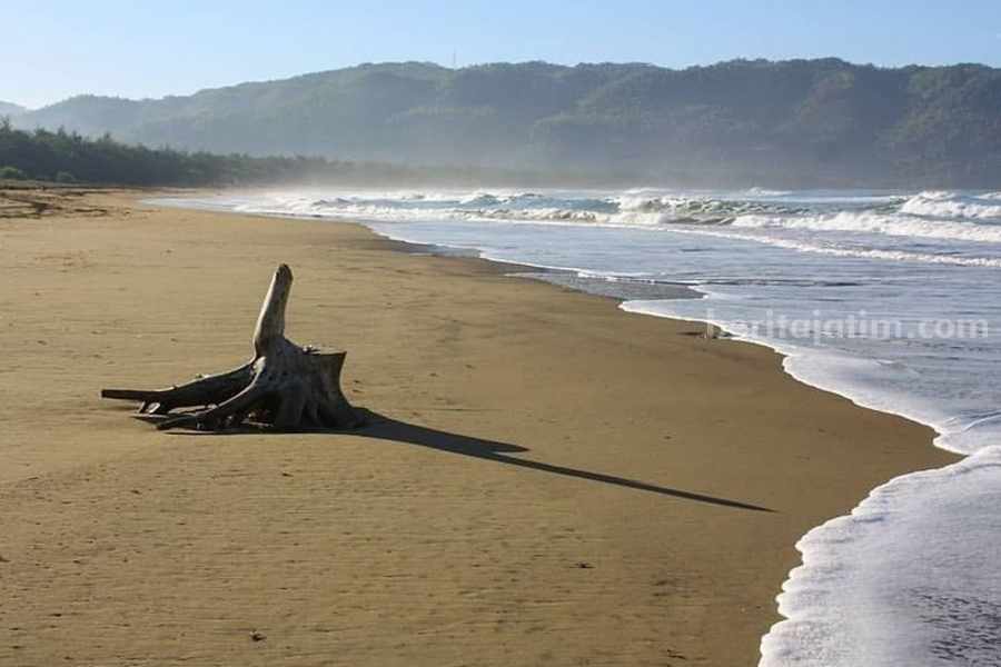Pantai Pancer Door Pacitan, Destinasi Wisata yang Wajib Anda Kunjungi saat Liburan Pantai Pancer Door Pacitan, destinasi wisata Jawa Timur yang dapat dikunjungi di akhir pekan atau libur Natal dan tahun baru (Nataru). (Sumber foto: Instagram/pantaipancerdoor)