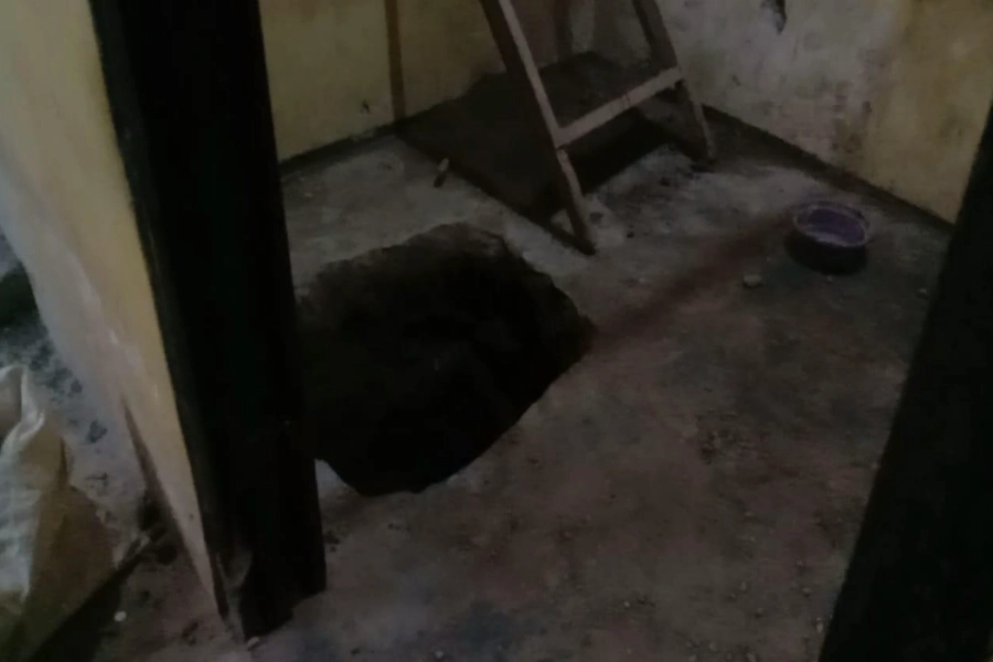 Lokasi Penemuan