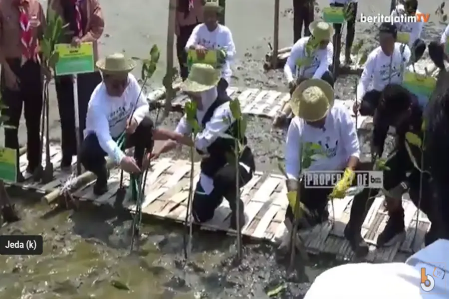 Gubernur Jatim Tanam Mangrove