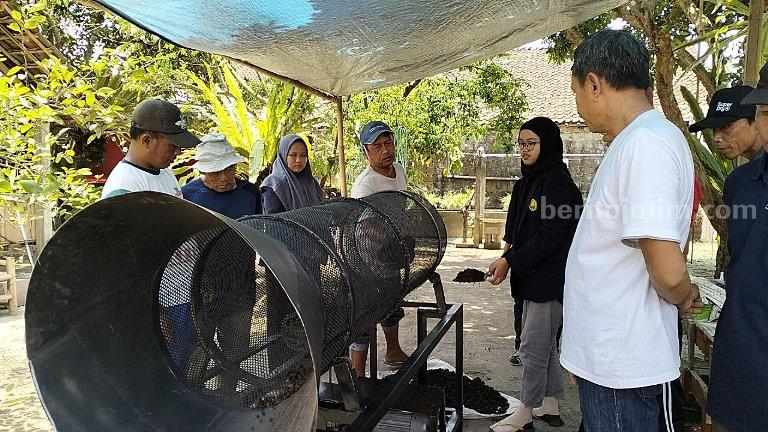 Petinju di Jember Gunakan Cacing Merah untuk Ubah Kotoran Sapi Jadi Kompos