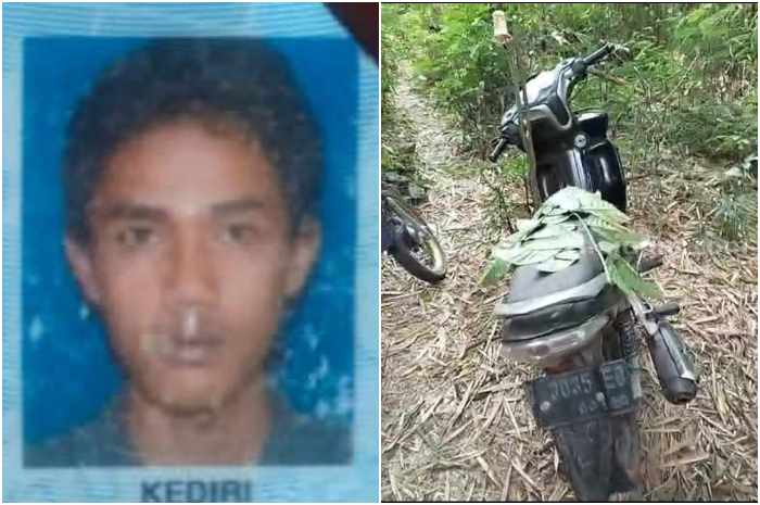 Pencari Burung Hilang