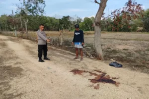 Seorang Perempuan Asal Jateng Ditemukan Meninggal di Sampang Tempat Kejadian Perkara