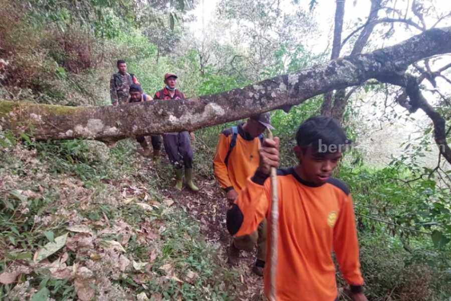Petugas gabungan saat menyisir kawasan yang terdampak Karhutla Gunung Lawu.