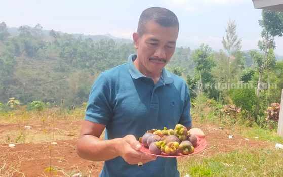 jombang