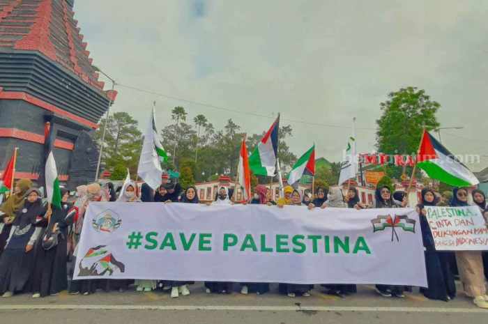 palestina_11zon