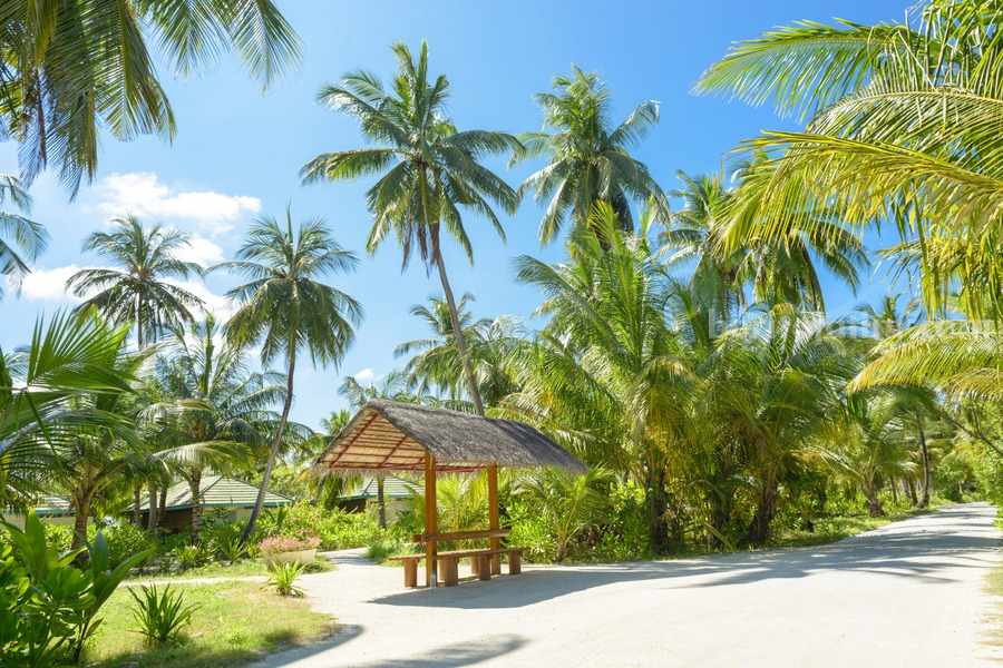 5 Wisata Alam dan Sejarah di Ngawi yang Instagramable Ilustrasi wisata alam di Ngawi (Asad Photo Maldives/pexels.com)