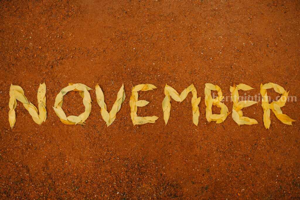 Ilustrasi November ( Maksim Goncharenok/pexels.clm)