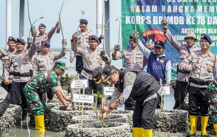 Dua Ribu Mangrove Ditanam di Pantai Kutang Lamongan Penanaman 2.000 pohon mangrove yang digelar di wilayah pesisir, Pantai Kutang, Desa Labuhan, Kecamatan Brondong, Lamongan.
