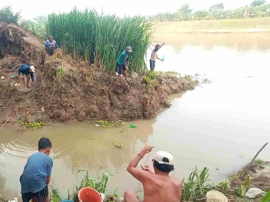 Warga bantaran Sungai Bengawan Solo di Desa Sarirejo Kecamatan Balen Kabupaten Bojonegoro menangkap ikan munggut.