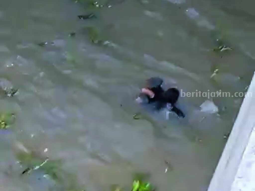 Pencari Ikan Tercebur Sungai Bengawan Solo Bojonegoro sungai