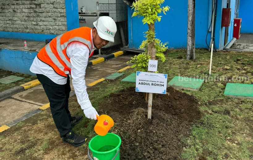 Direktur PT. MNJ lakukan penanaman pohon sambut hari menanam pohon