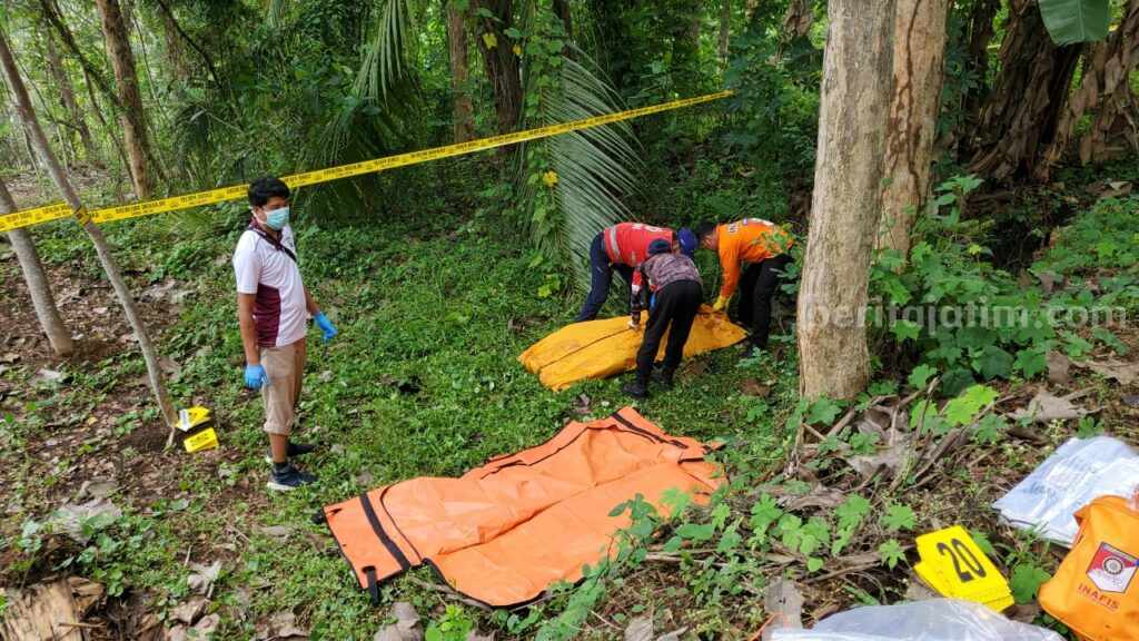 Mayat Laki-Laki Ditemukan di Kebun Jati Desa Ngebruk Malang Jasad seorang pria ditemukan di sebelah kebun jati milik Perhutani di Desa Ngebruk, Kecamatan Sumberpucung, Kabupaten Malang, Sabtu (2/12/2023).