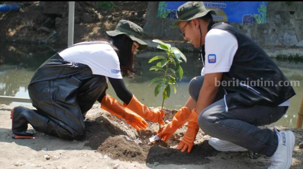 BRI RO Surabaya Gelar Aksi Sosial Bersih-Bersih Sungai Kedinding Kenjeran