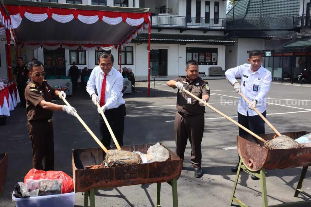 Kejari Kabupaten Malang Musnahkan Barang Bukti Narkoba Kejaksaan Negeri Kabupaten Malang memusnahkan barang bukti narkotika yang sudah berkekuatan hukum tetap, Senin (11/12/2023).