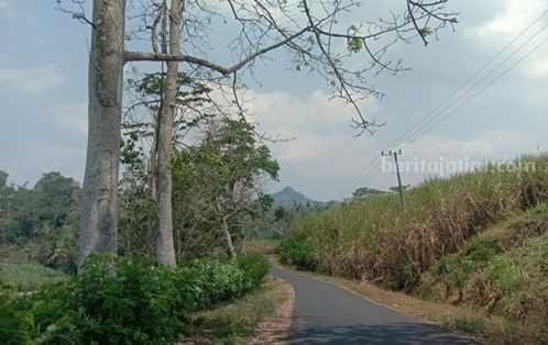 Lahan di Kabupaten Blitar