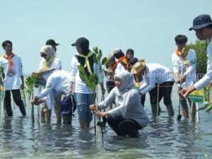 Gubernur Jatim saat tanam mangrove di Sumenep