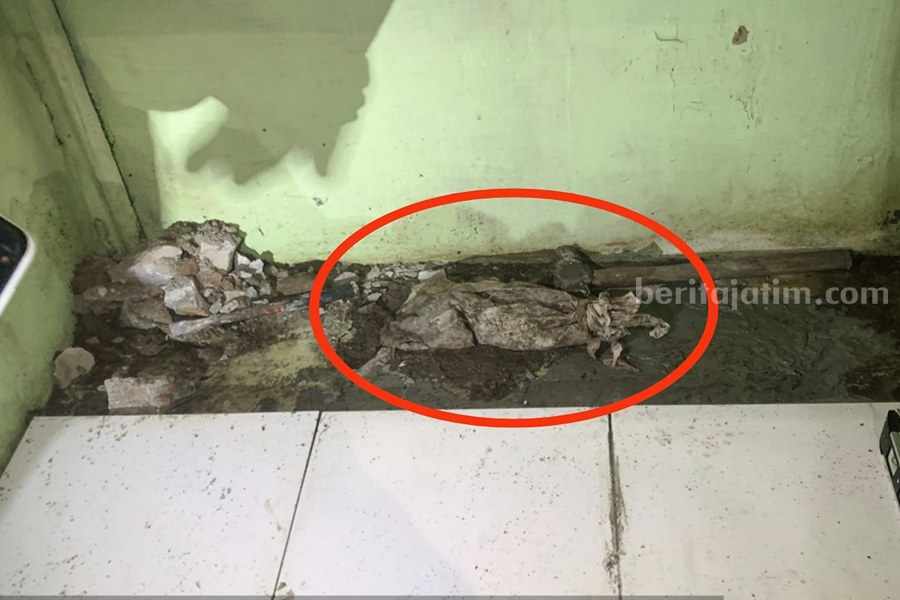 Surabaya Geger! Dikira Kerangka Bayi Dikubur Semen, Ternyata Tulang Kucing Kerangka yang ditemukan di perumahan Pondok Benowo Indah, Jumat (08/12/2023). (Foto/ist).