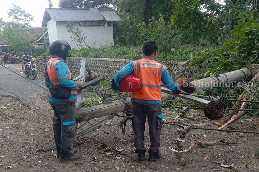Petugas PLN saat melakukan pengecekan di lokasi terjadinya tiang roboh.