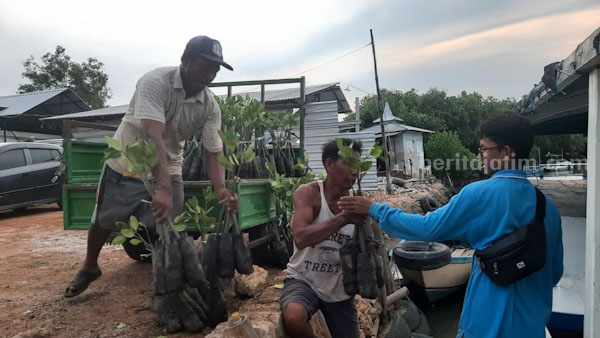 Pengiriman mangrove ke Pulau Gili Genting menggunakan perahu