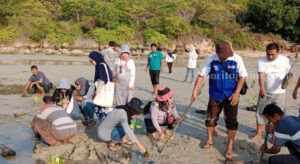FK3I dan Warga Pulau Gili Genting Sumenep Tanam Mangrove