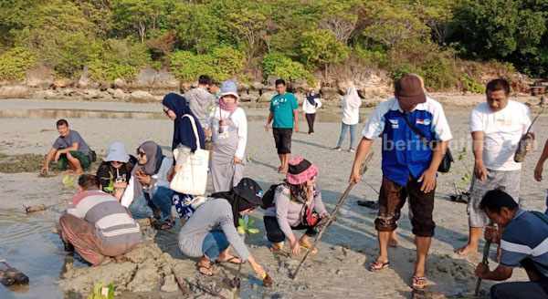 FK3I dan Warga Pulau Gili Genting Sumenep Tanam Mangrove