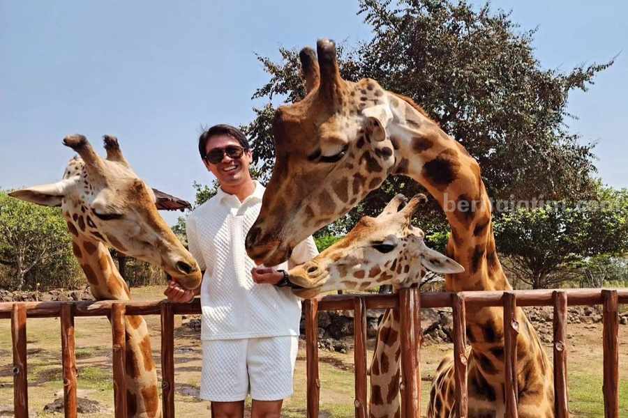 Taman Safari Prigen, Pasuruan, destinasi wisata untuk libur Natal dan tahun baru (Nataru) 2024. (Instagram/hesselstevenwong)