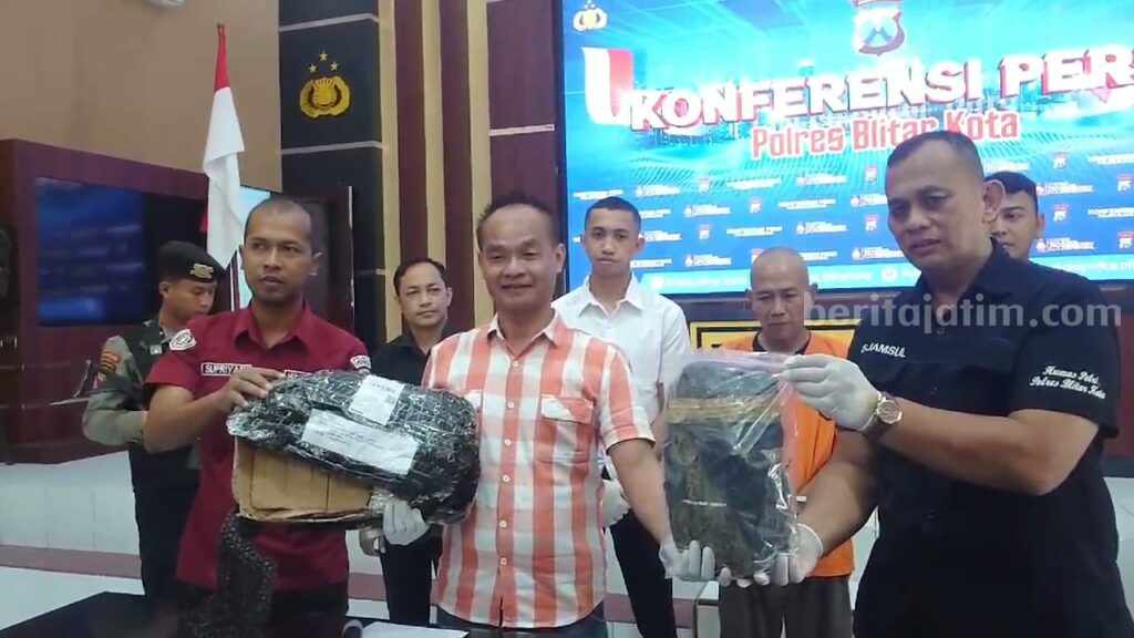 Simpan Ganja untuk Pesta Tahun Baru, Polres Blitar Kota Tangkap Pria Asal Tulungagung Satreskoba Polres Blitar Kota tunjukan bb ganja