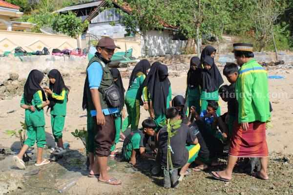 Cegah Abrasi, Santri Giligenting Sumenep Tanam Mangrove Caption foto : siswa dan santri tanam mangrove