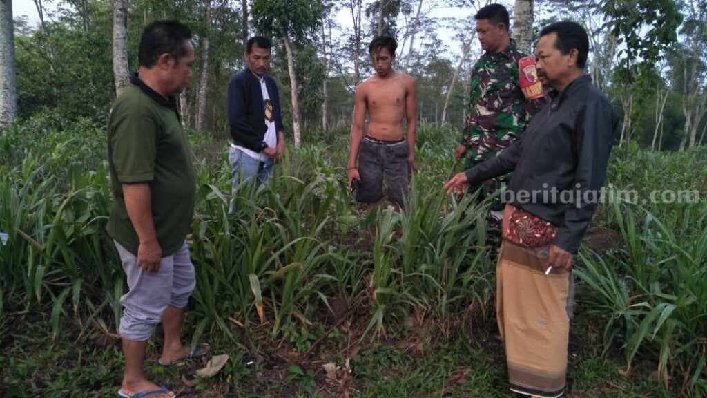 Warga Blitar Temukan Bayi Menggemaskan di Sawah Warga dan petugas mendatangi lokasi penemuan bayi perempuan di Desa Maliran Kecamatan Ponggok, Blitar.