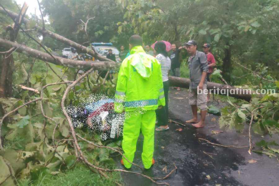 Foto Berita Jatim