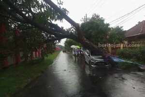 Hujan Deras Kota Malang, Belasan Pohon Tumbang Foto Berita Jatim