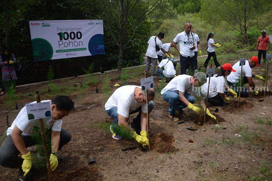 1000 Pohon Ditanam di Wilayah Pesisir Pasuruan untuk Konservasi Lingkungan Foto Berita Jatim
