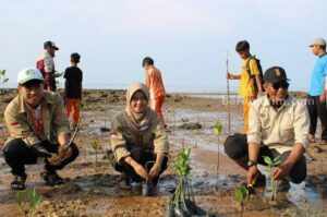 Pegiat Lingkungan Sumenep Tanam Bibit Mangrove di Pantai Matahari Penanaman pohon di Pantai Matahari