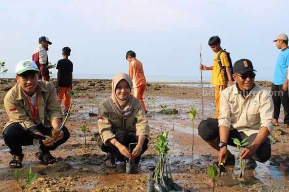 Penanaman pohon di Pantai Matahari