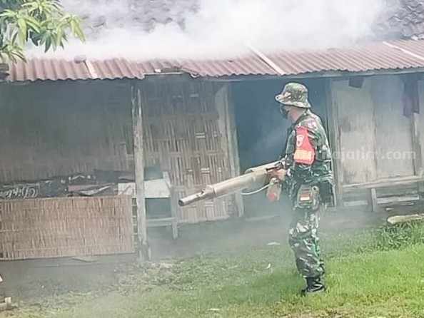 Tiga Orang Positif DBD, Babinsa Koramil Sumberrejo Bojonegoro Bantu Fogging Foto Berita Jatim