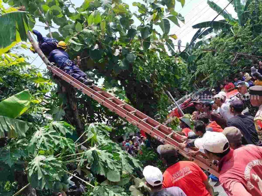 Foto Berita Jatim