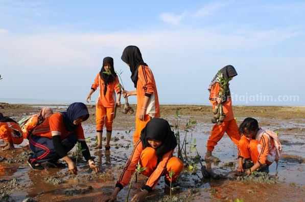 Penanaman pohon di Pantai Matahari