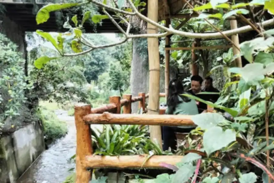 Cari Tempat Nongkrong dengan View Alam di Malang? Ini 5 Cafe yang Wajib Dikunjungi! Foto Berita Jatim