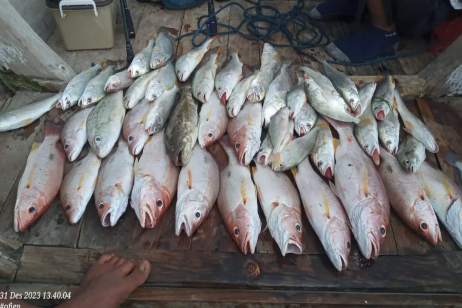 Bakar Ikan