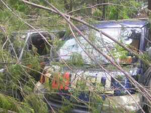 Dua Mobil Wisatawan di Sampang Rusak Tertimpa Pohon Cemara