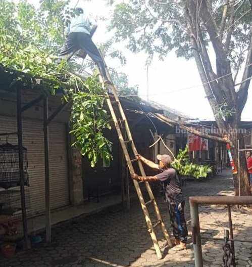 Pemangkasan pohon yang dilakukan warga di Kota Mojokerto. [Foto : ist]