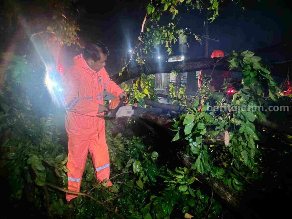 Petugas gabungan mengevakuasi pohon tumbang yang terjadi pada, Kamis (11/1/2024) kemarin. [Foto : ist]