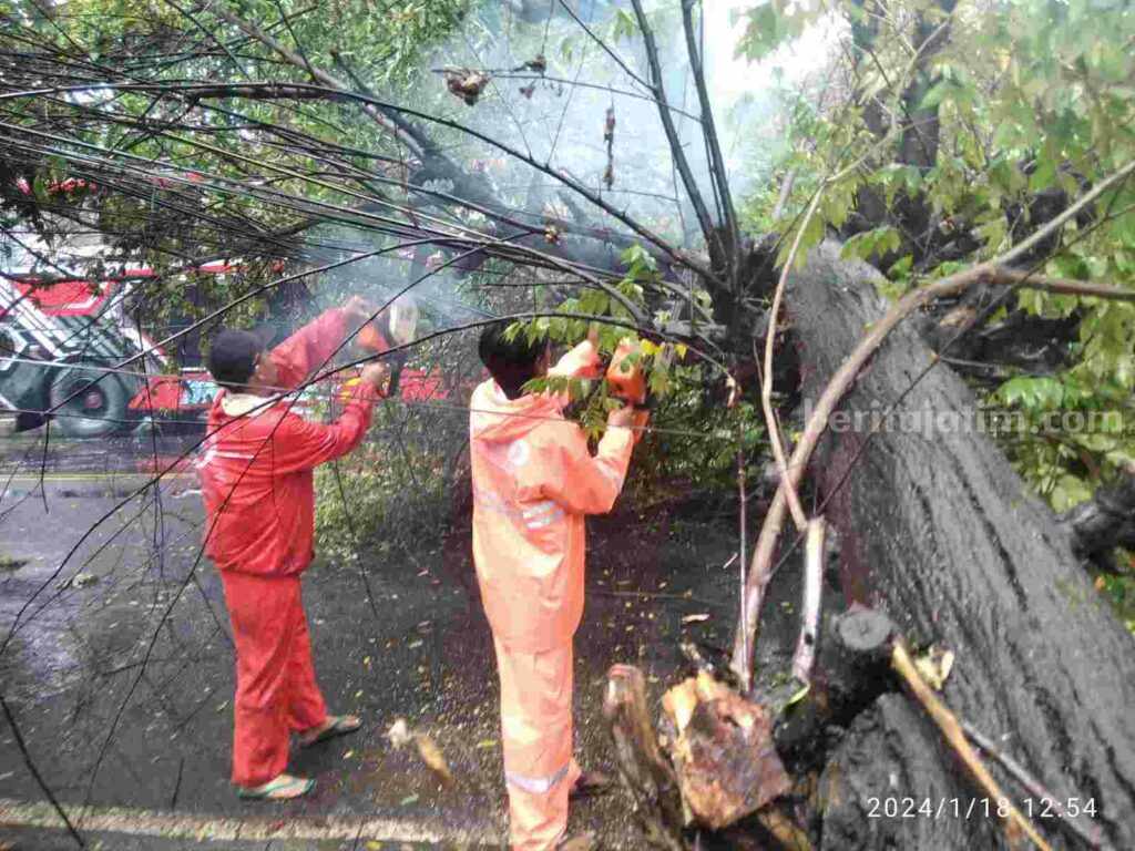 Foto Berita Jatim