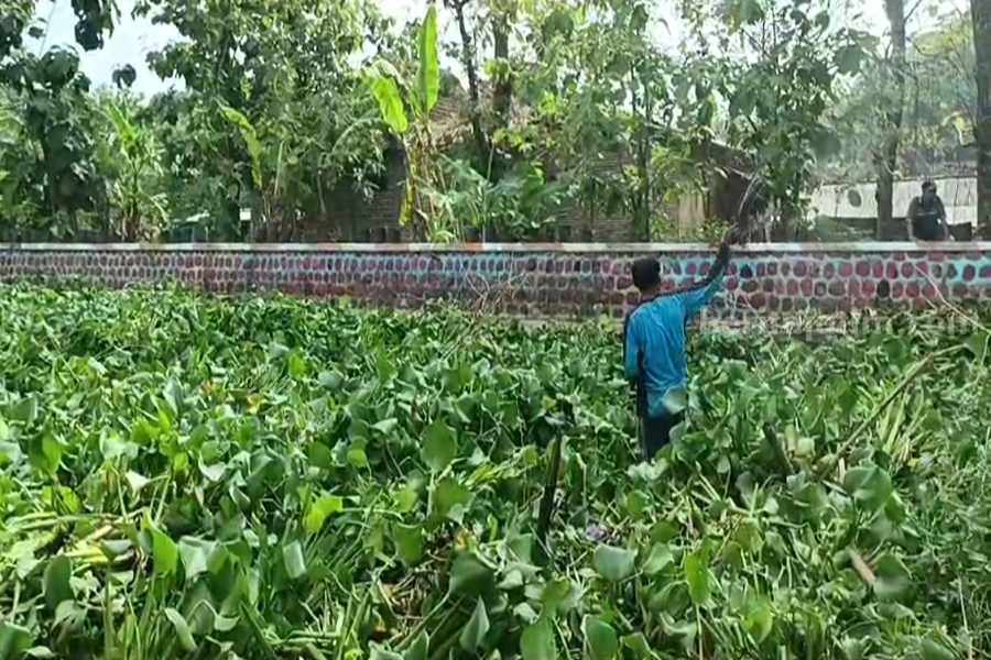 Enceng gondok memenuhi aliran sungai Gendol di Desa Jabung Kecamatan Mlarak Ponorogo. (Foto/Istimewa)