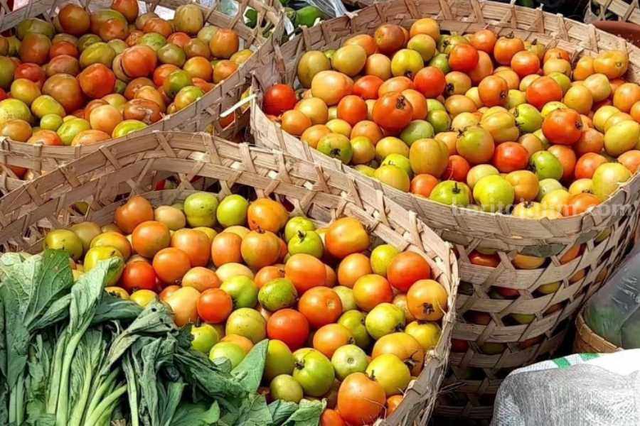 Harga Tomat di Magetan tembus Rp20 ribu/kg (Fatihah Ibnu Fikri)